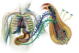 danos ao pâncreas em diabetes mellitus