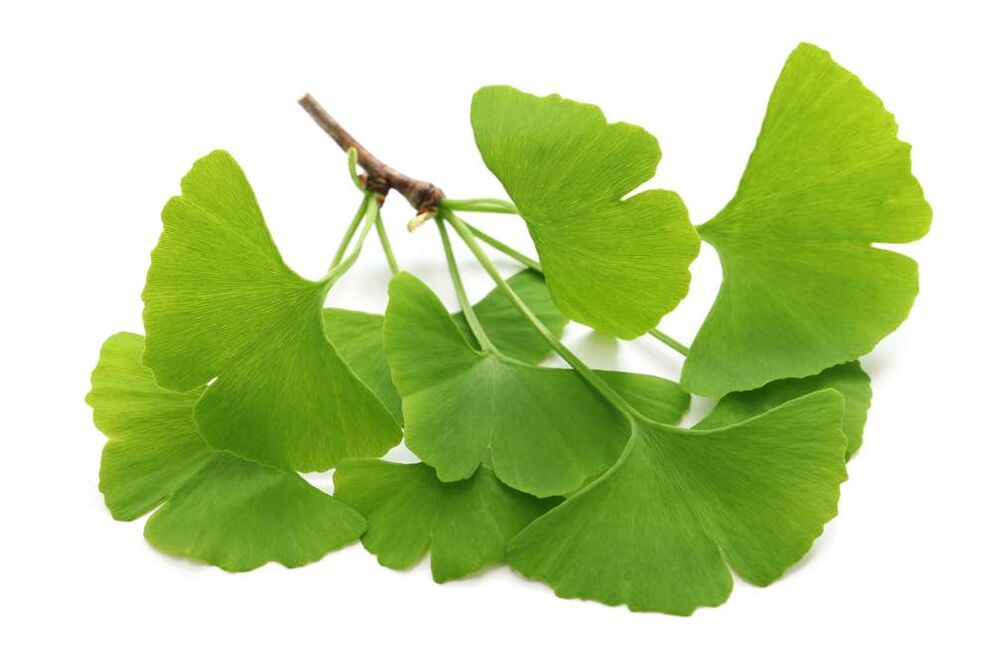 gingko biloba em cápsulas Glucoren